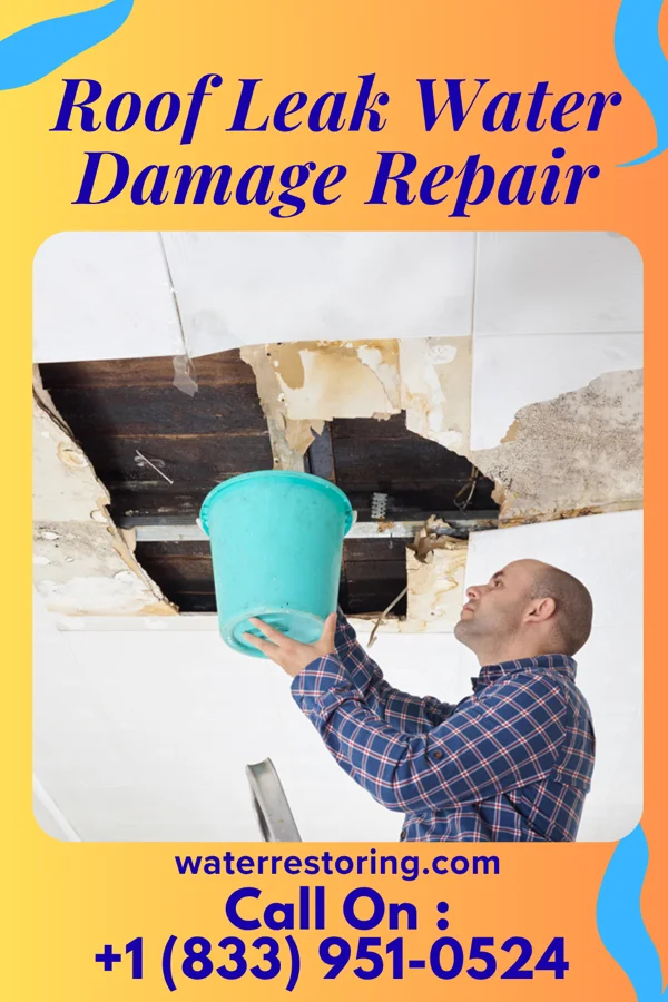 Roof Leak Water Damage Repair in Cambridge, WI